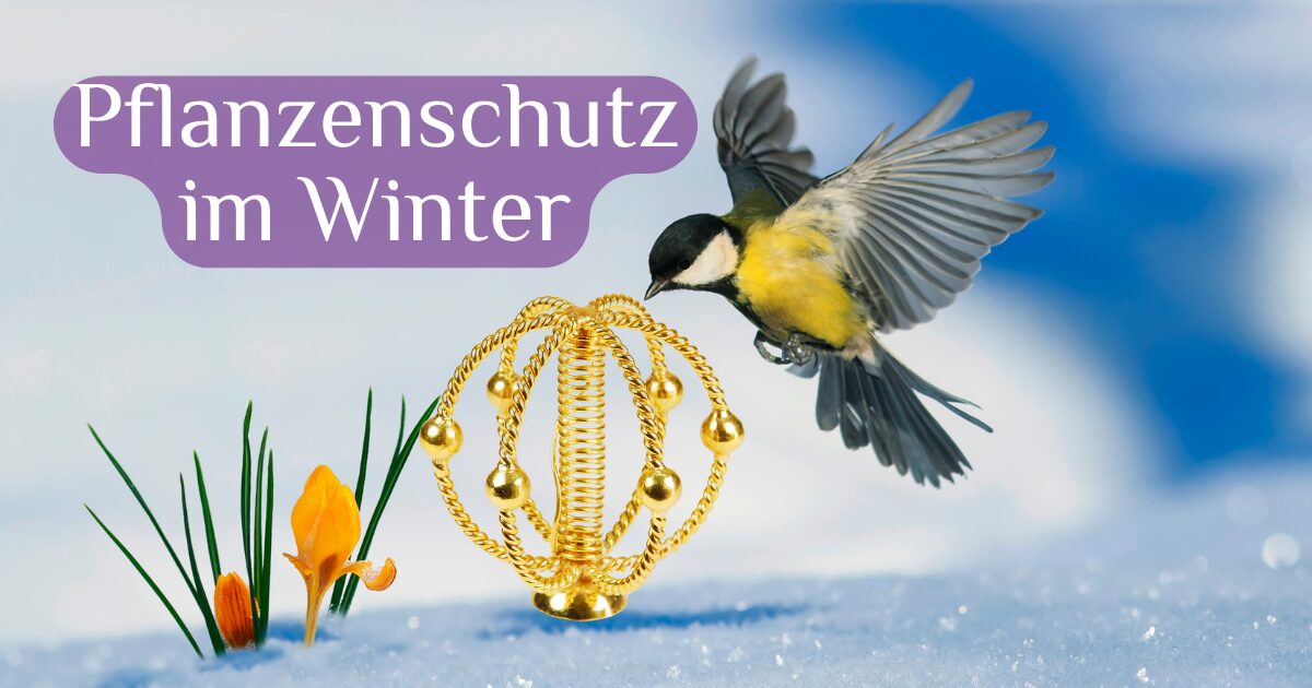 Pflanzenschutz im Winter LightLife Tools Europe